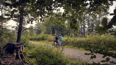 Gepäck auf dem E-Bike richtig verteilen: So bleibt dein Fahrrad stabil