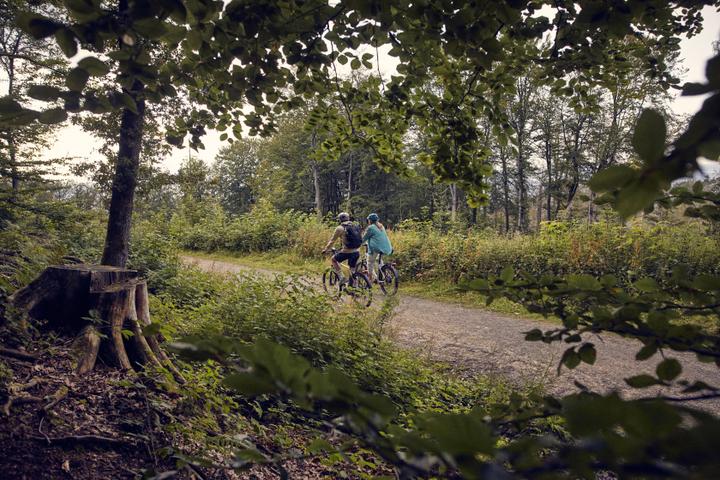 Umweltfreundliche E-Bikes