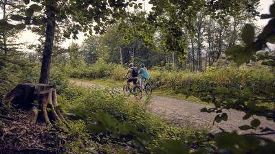 E-Bikes: Ein umweltfreundlicher Schritt zur Reduzierung des CO2-Fußabdrucks